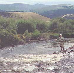 Arkasas River Fly Fishing