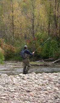 Colorado Fly Fishing Rivers