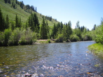 Colorado Fly Fishing Guide Service Frisco Dillon Vail